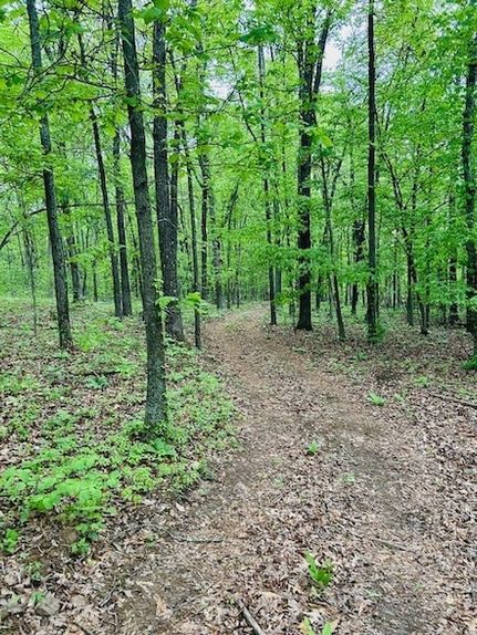 Property for sale in Madison County, Arkansas