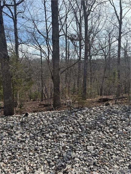 Property for sale in Camden County, Missouri