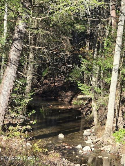 Property for sale in Fentress County, Tennessee