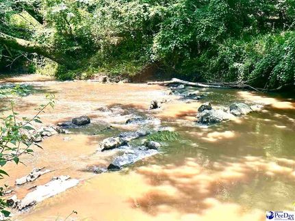 Undeveloped Land for sale in Chesterfield County, South Carolina