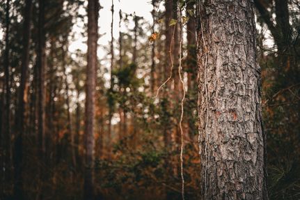 Farm Property for sale in Washington County, Georgia