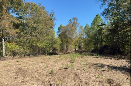 Property for sale in Adair County, Kentucky