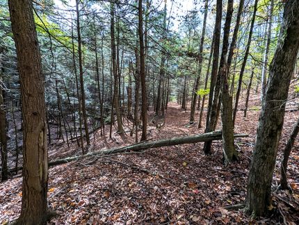 Recreational Property for sale in Steuben County, New York