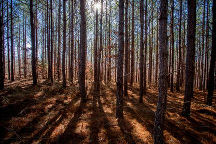 Recreational Property for sale in Hickman County, Tennessee