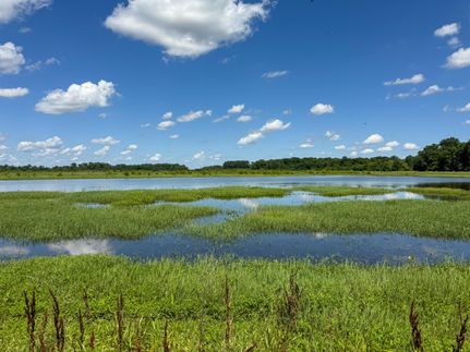 Waterfront Property for sale in Lawrence County, Arkansas
