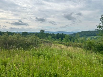 Farm Property for sale in Otsego County, New York