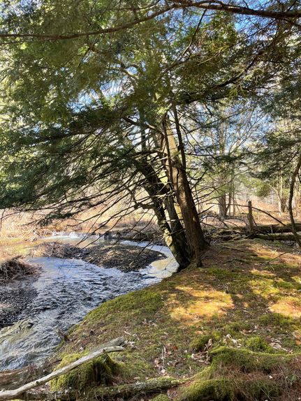 Residential Property for sale in Otsego County, New York