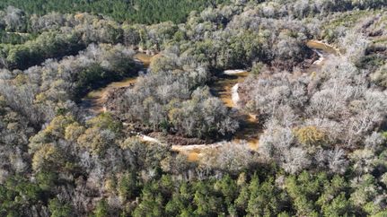 Ranch Property for sale in Covington County, Alabama