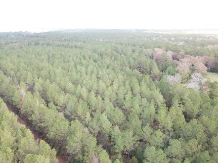 Recreational Property for sale in Tyler County, Texas