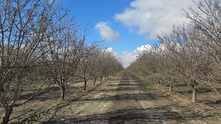 Recreational Property for sale in Fresno County, California