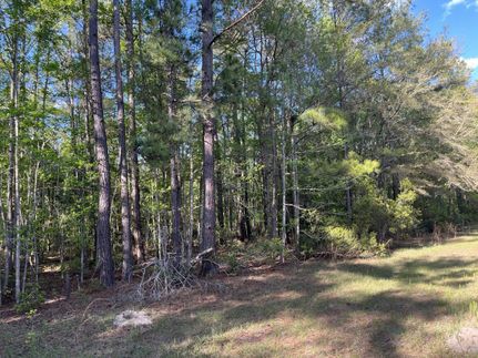 Undeveloped Land for sale in Colleton County, South Carolina