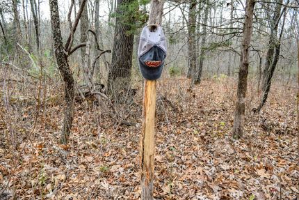 Property for sale in Lincoln County, Missouri