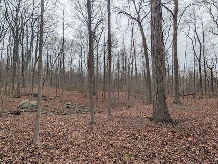 Timberland Property for sale in Geauga County, Ohio