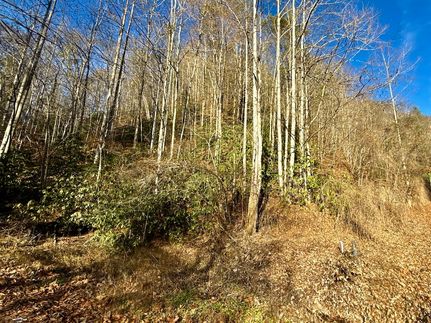 Ranch Property for sale in Cocke County, Tennessee