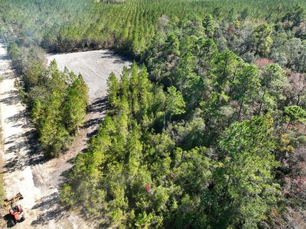 Timberland Property for sale in Brantley County, Georgia