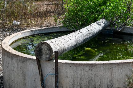 Property for sale in Karnes County, Texas