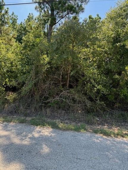 Property for sale in Bastrop County, Texas