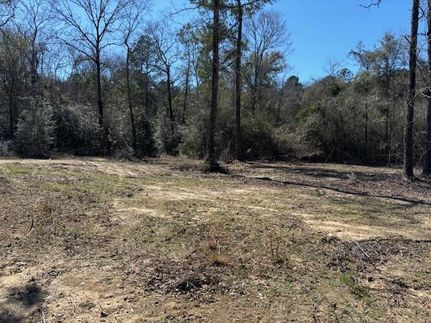 Undeveloped Land for sale in Walthall County, Mississippi
