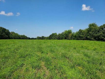 Undeveloped Land for sale in Benton County, Tennessee