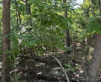 Undeveloped Land for sale in Camden County, Missouri