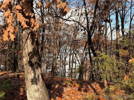 Undeveloped Land for sale in Camden County, Missouri