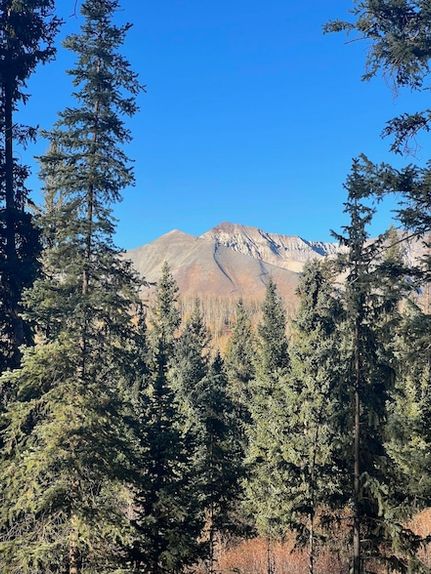 Property for sale in San Miguel County, Colorado