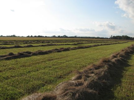 Property for sale in Lincoln County, Nebraska