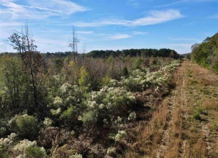 Horse Property for sale in White County, Arkansas