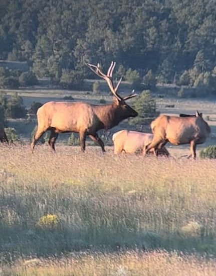 Recreational Property for sale in Cibola County, New Mexico