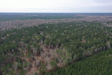 Property for sale in Dallas County, Arkansas