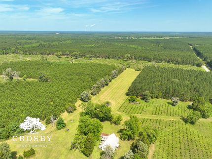 Farm Property for sale in Allendale County, South Carolina