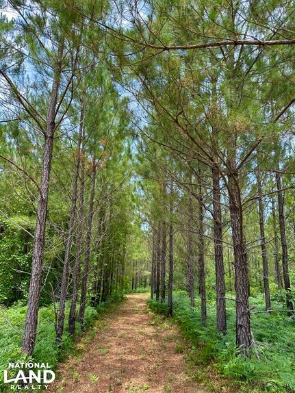 Hunting Land for sale in Dodge County, Georgia