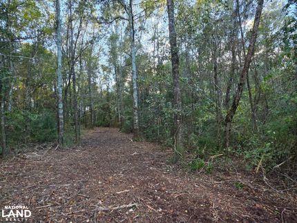 Hunting Land for sale in Geneva County, Alabama