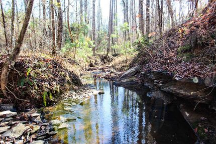 Property for sale in Fayette County, Alabama