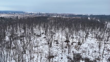 Ranch Property in Arenac County, Michigan