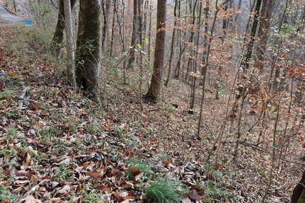 Property for sale in DeKalb County, Tennessee