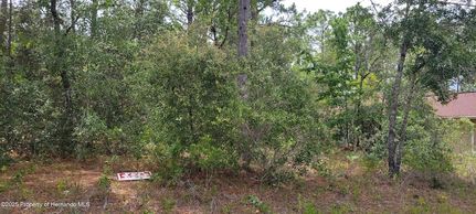 Property for sale in Citrus County, Florida