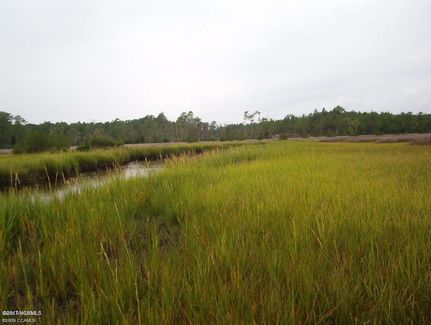 Undeveloped Land for sale in Carteret County, North Carolina