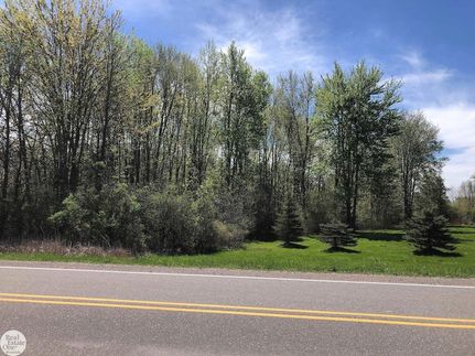 Undeveloped Land for sale in Saint Clair County, Michigan