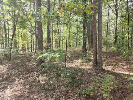 Undeveloped Land for sale in Saline County, Arkansas