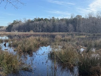 Timberland Property for sale in Wilcox County, Alabama