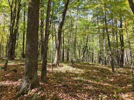Undeveloped Land for sale in Price County, Wisconsin