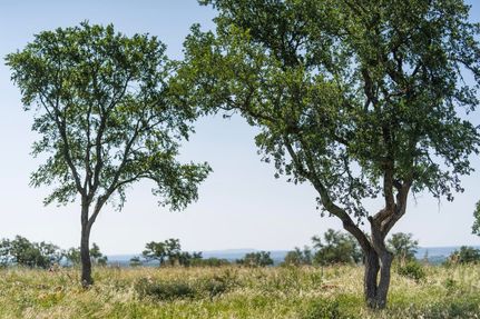 Residential Property for sale in Burnet County, Texas