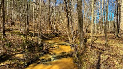 Waterfront Property for sale in Elbert County, Georgia