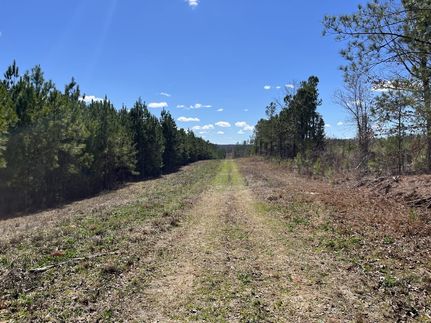 Timberland Property for sale in Elbert County, Georgia