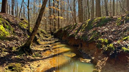 Ranch Property for sale in Elbert County, Georgia