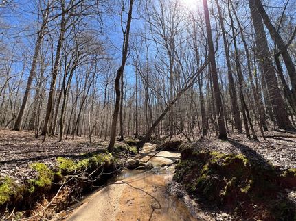 Waterfront Property for sale in Elbert County, Georgia