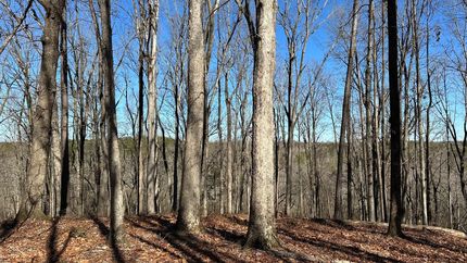 Hunting Land for sale in Banks County, Georgia