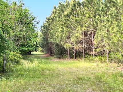 Farm Property for sale in Laurens County, Georgia