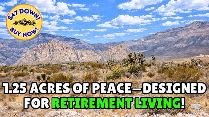 Undeveloped Land for sale in Navajo County, Arizona